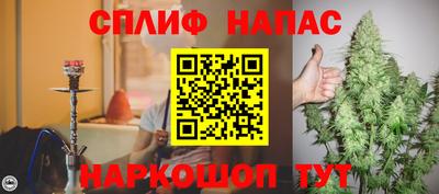 ГАЛЛЮЦИНОГЕННЫЕ ГРИБЫ Тула
