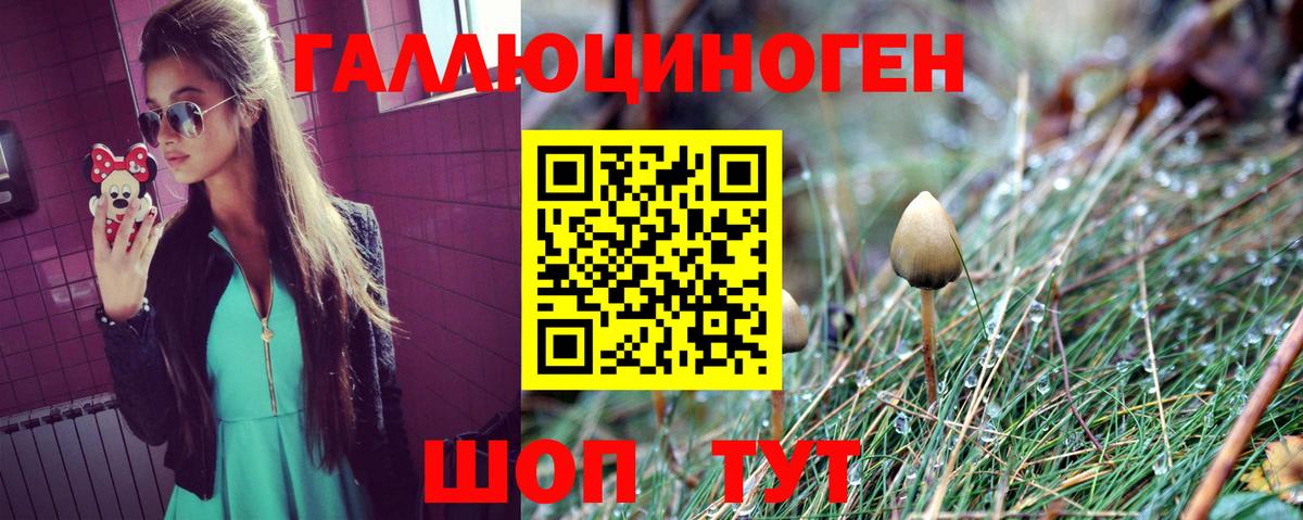 Псилоцибиновые грибы Psilocybine cubensis  Вход с VPN  Урус-Мартан 